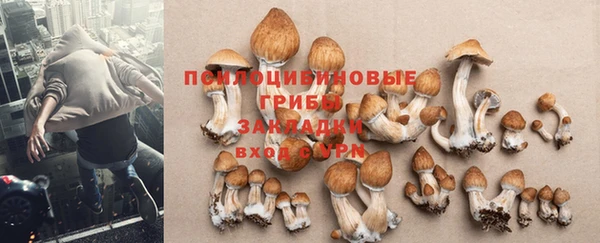 MESCALINE Алексин