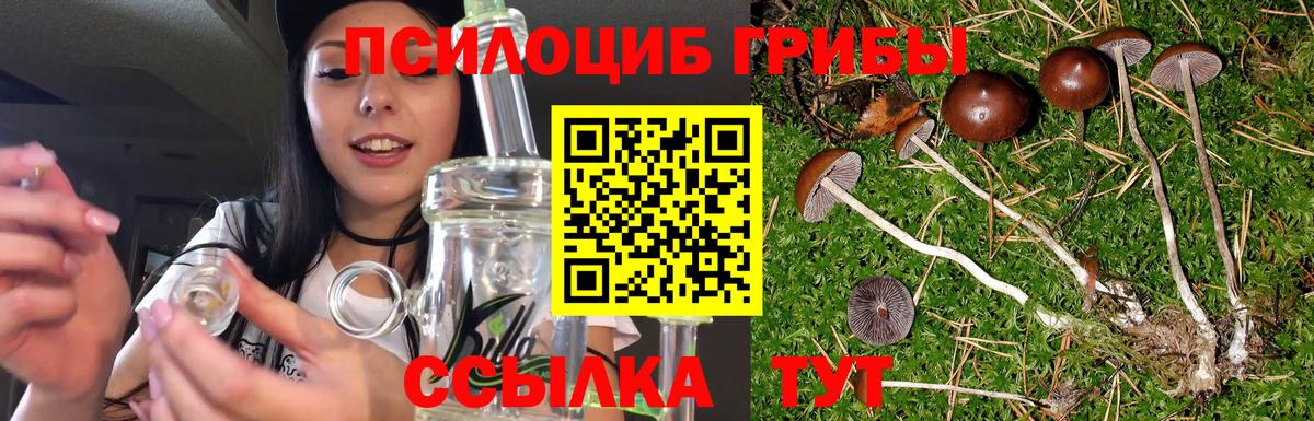 Галлюциногенные грибы мухоморы  Вход с VPN  Галлюциногенные грибы мухоморы  Златоуст 